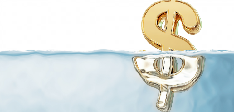 Dollar Life Insurance